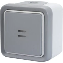 Poussoir étanche à Voyant, Lumineux Gris / Argent LEGRAND