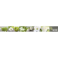 Frise, Vinyle Adhésive Nature, L.15 Cm X L.5 M