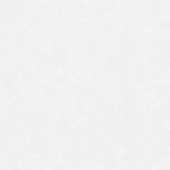 Revêtement De Rénovation Sur Intissé Taloché – ERISMANN 6446-01 170 G/m²