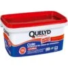 Colle Revêtement Mural Lourd Jusqu’à 750gr/m² QUELYD, 5 Kg