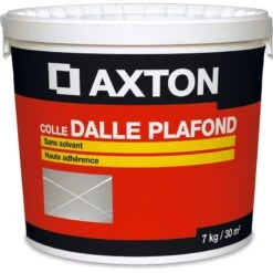 Colle Dalle, Rosace, Moulure De Plafond Prête à L’emploi AXTON, 7 Kg