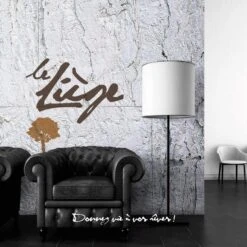 Dalle De Liège Murale Lot De 10, Blanc, L.30 X L.60 Cm