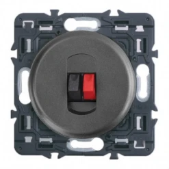 Legrand Céliane – Prise Haut -Parleur Simple – Ensemble Graphite à Composer